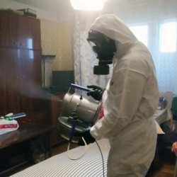 Дезинфекция от клопов в Жуковке