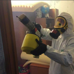 Уничтожение клопов в квартире. Жуковка